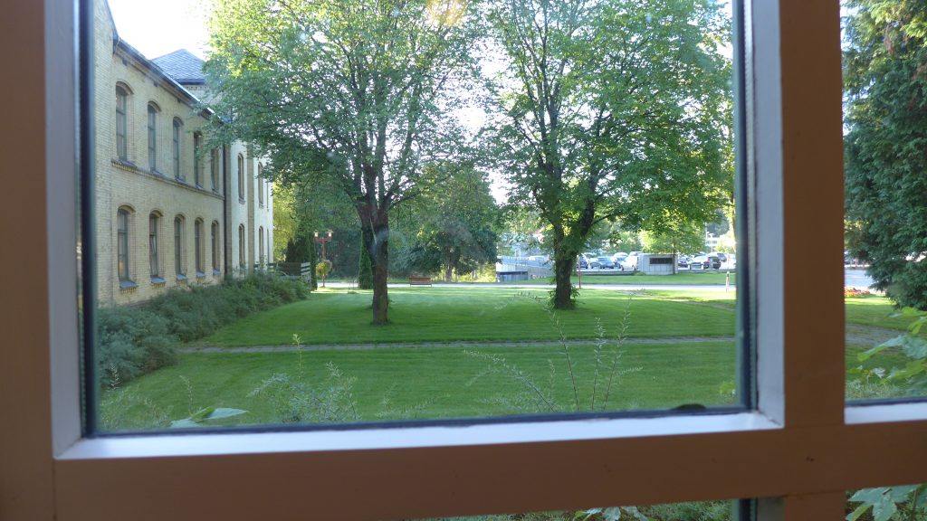 Utsikt fra vindu mot grønt gress