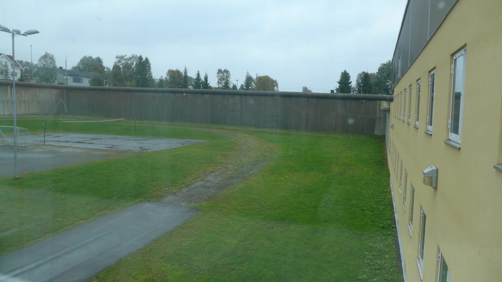 Grønn plen og gjerde