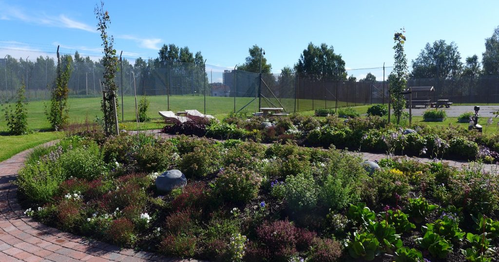 bilde av den nye hagen