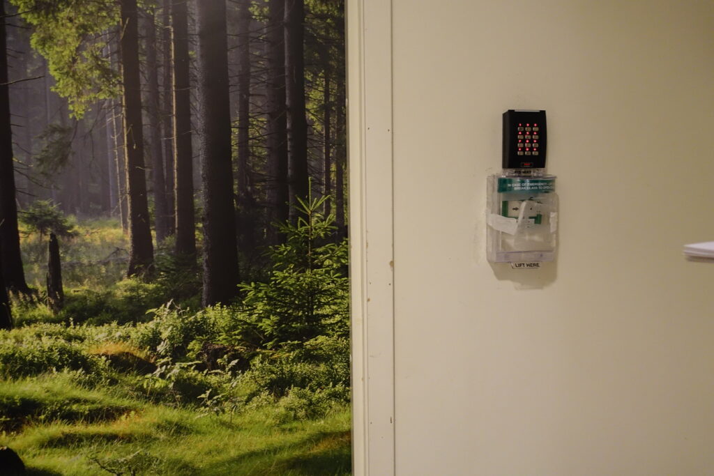 Dør med lås ved siden av tapet med skog