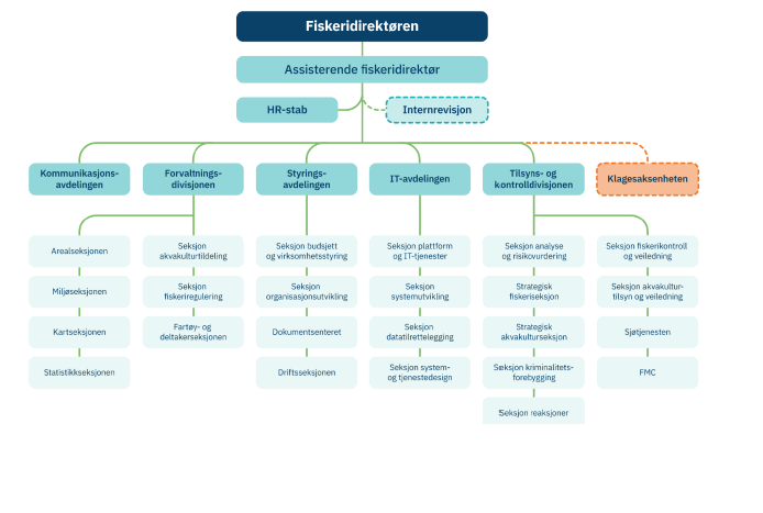 Organisasjonskart med bokser