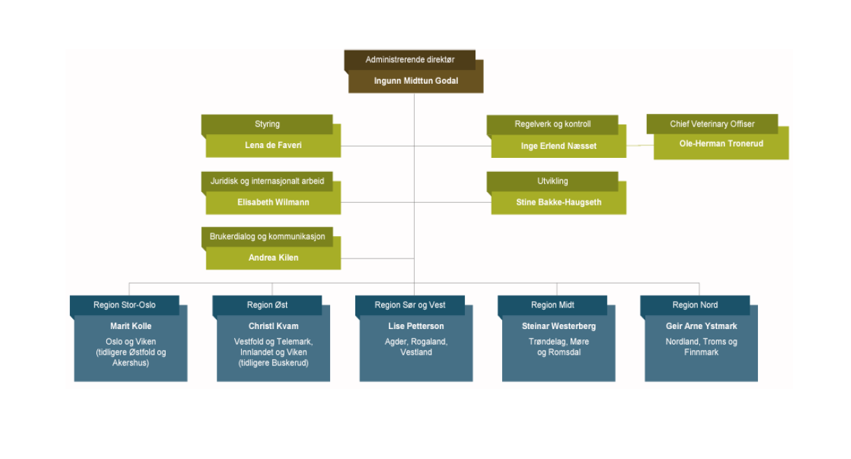 Organisasjonskart med bokser